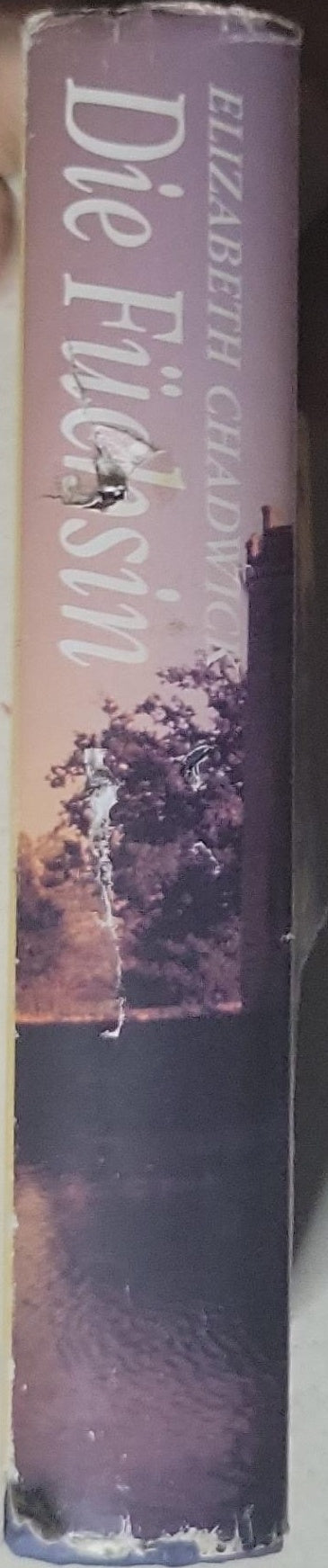 Die Füchsin