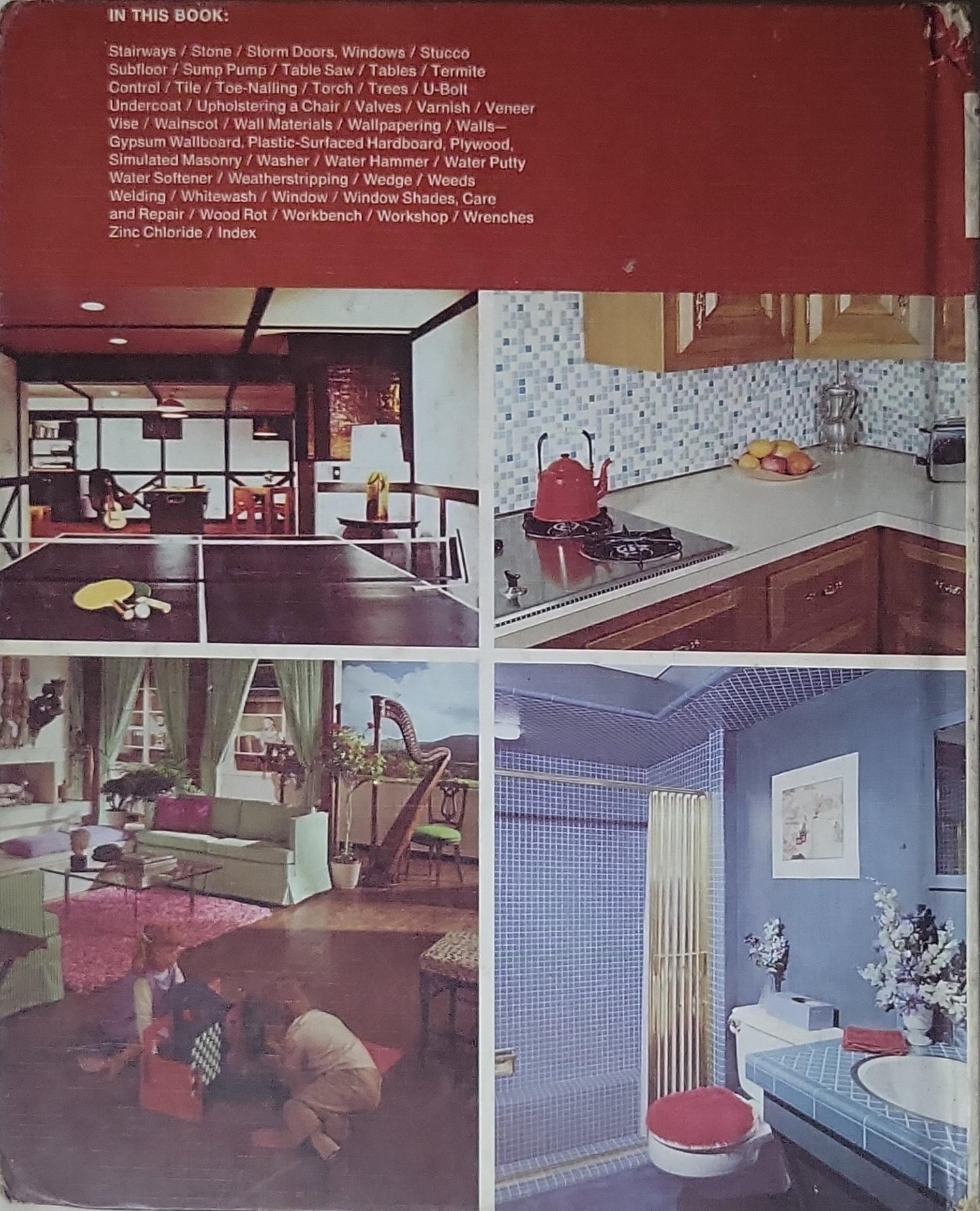 Do-It-Yourself Encyclopedia: The Practical Guide to Home Improvements, Decorating and Repairs