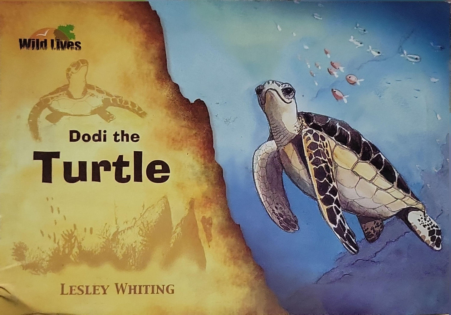 Dodi the Turtle By Lesley Whiting