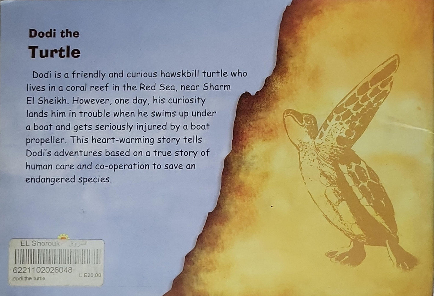 Dodi the Turtle By Lesley Whiting