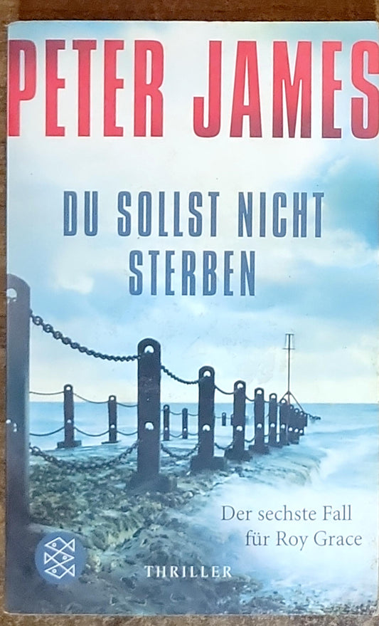 Du solltest nicht sterben: Der sechste Fall für Roy Grace