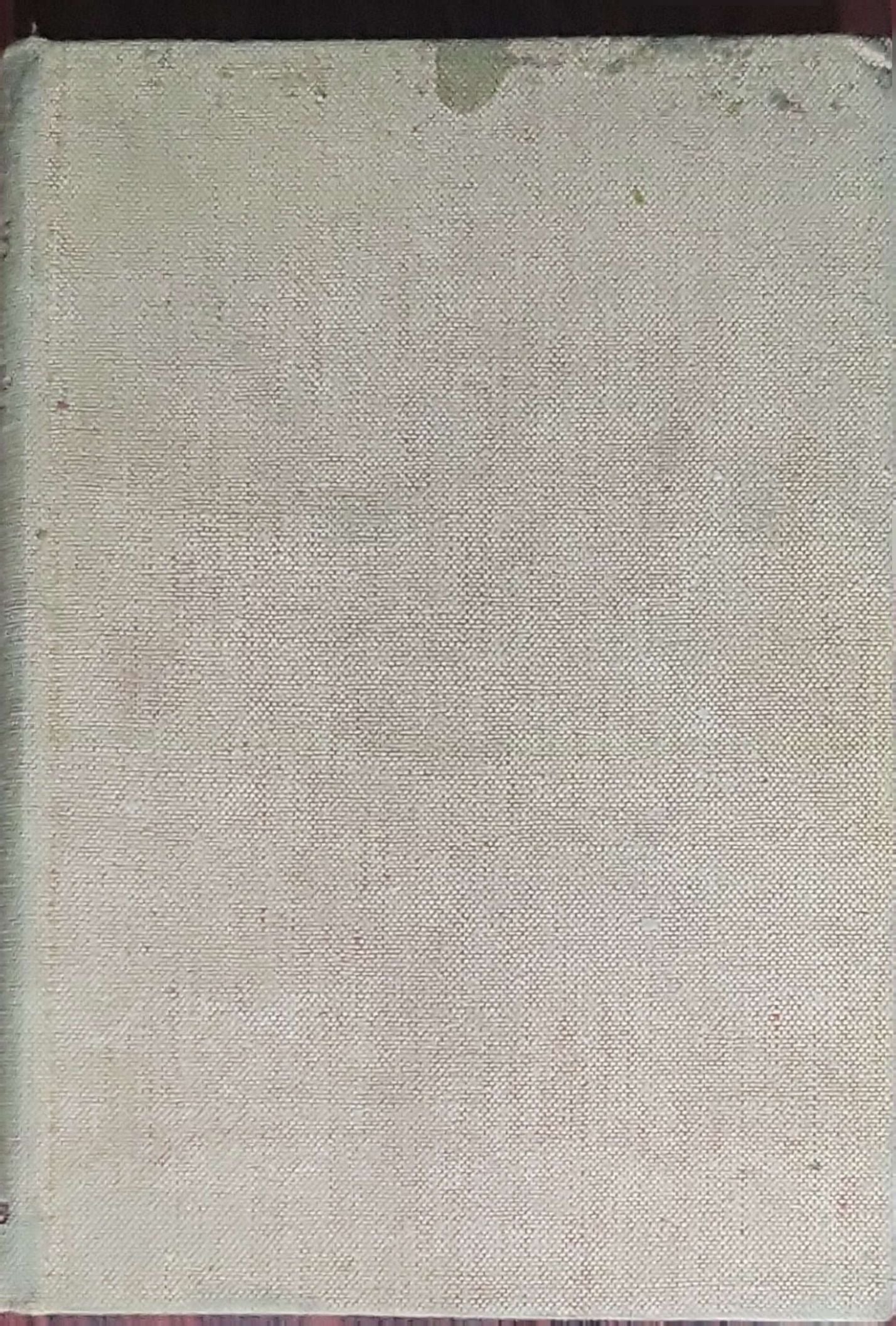 East of the Giants: A Novel