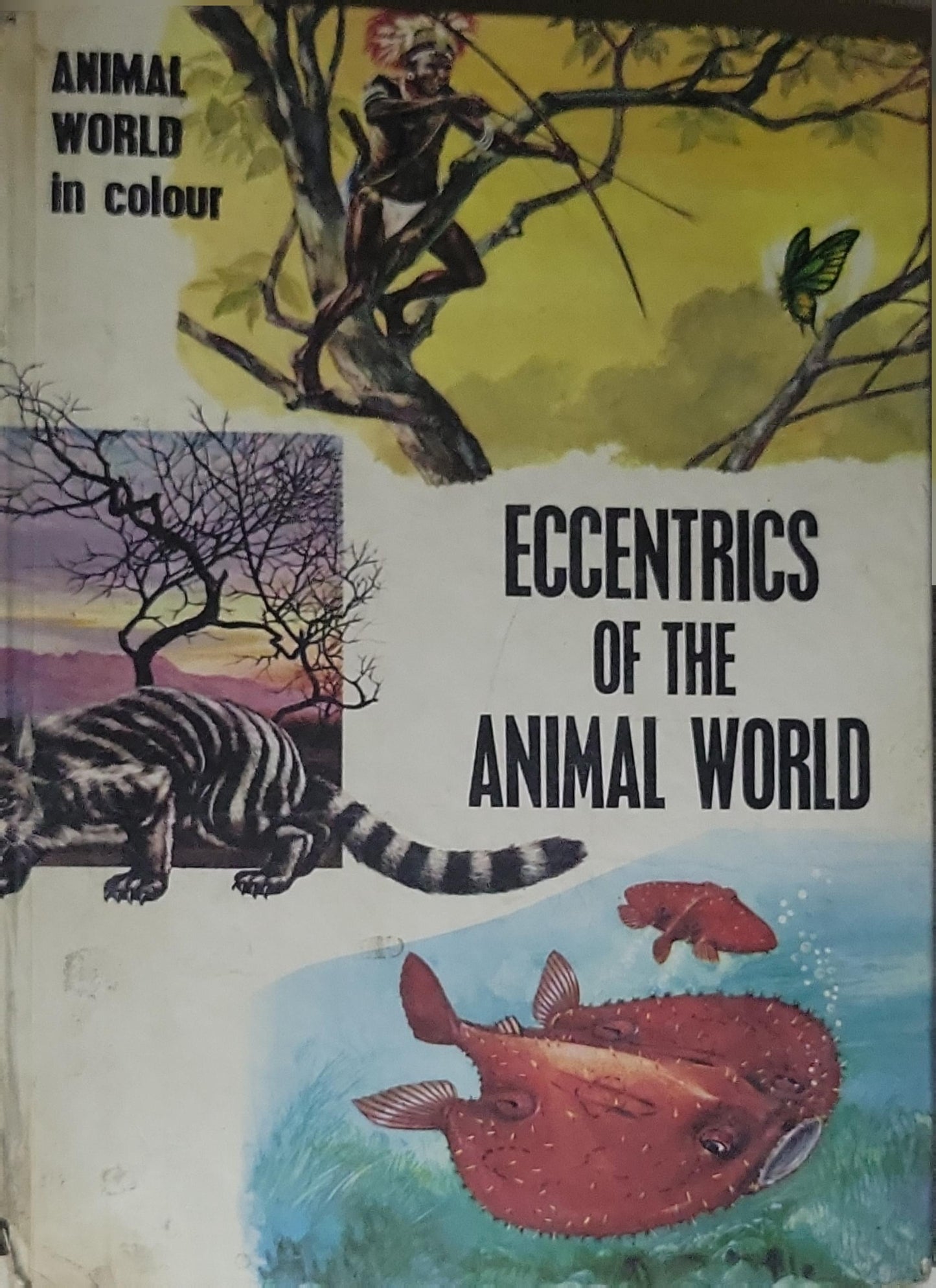 ECCENTRICS OF THE ANIMAL WORLD