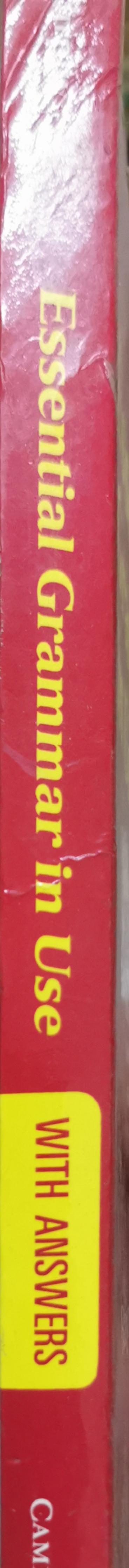 Essential Grammar in Use: A self-study reference and practice book for elementary students of English By Raymond Murphy