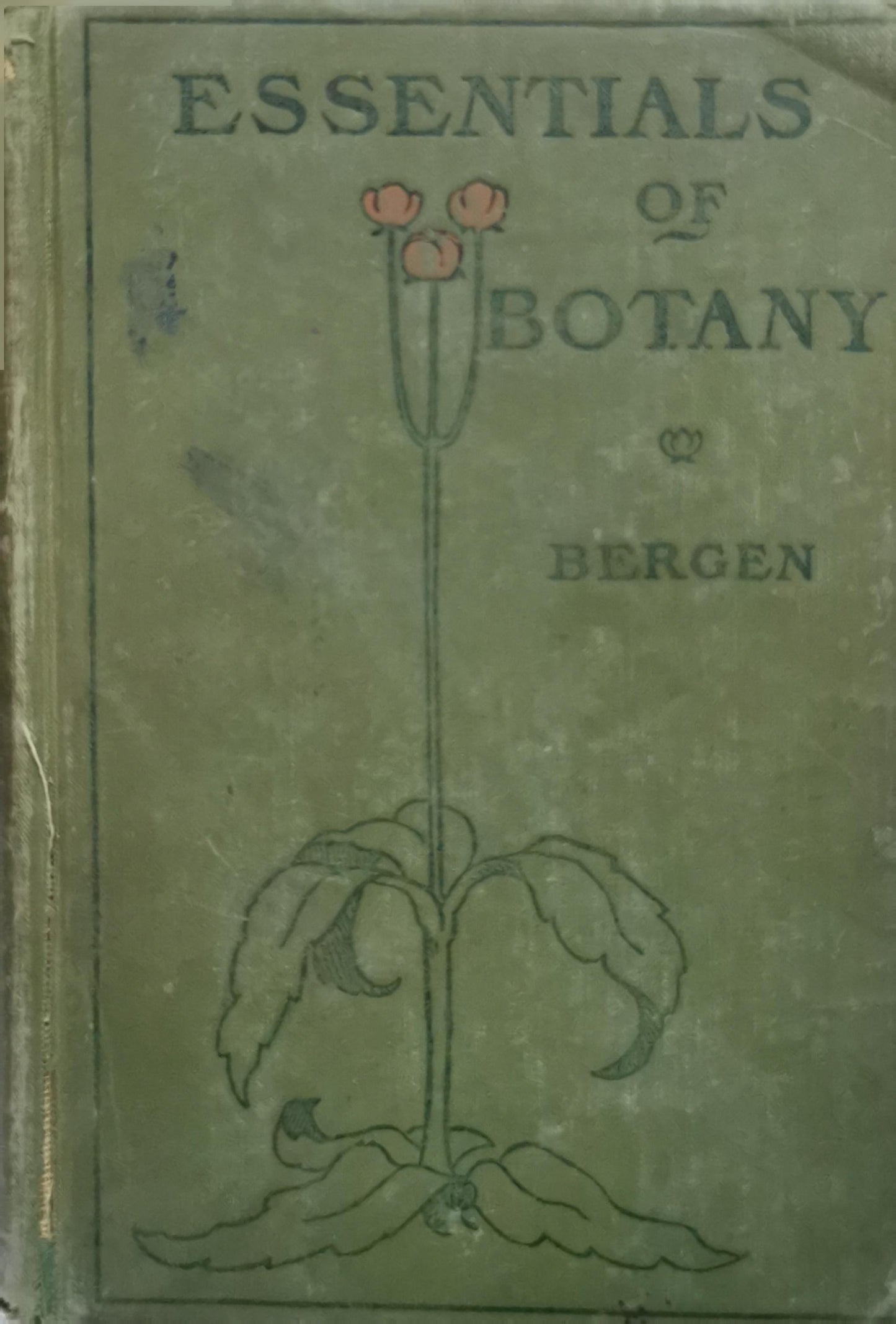 Essentials of Botany By Joseph Y. Bergen, A.M.