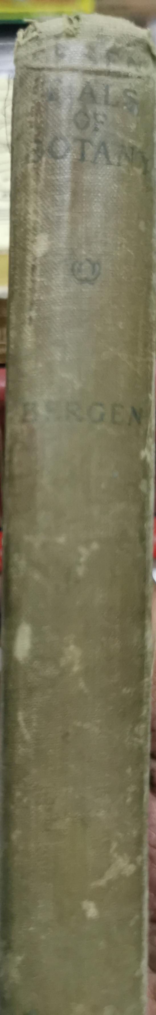 Essentials of Botany By Joseph Y. Bergen, A.M.