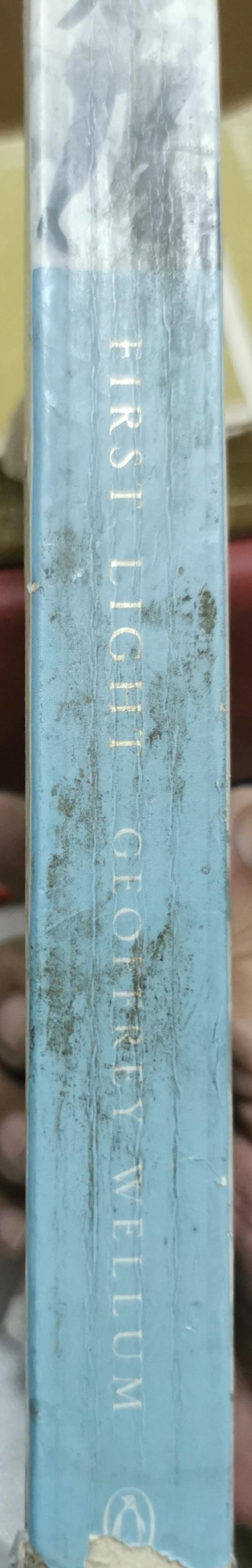 First Light By Geoffrey Wellum