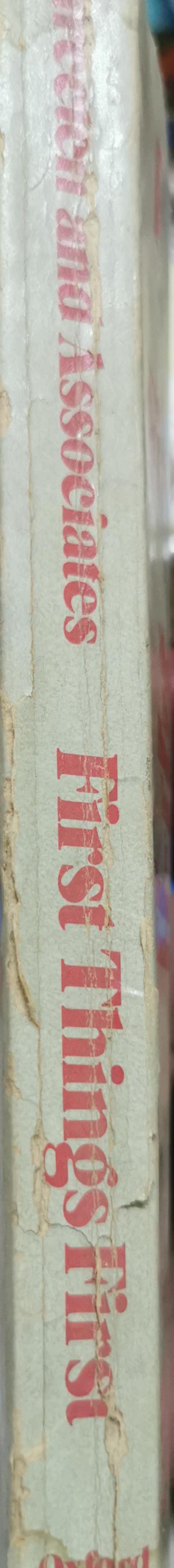 First Things First: Meeting Basic Human Needs in Developing Countries By Paul Streeten and Shahid Javed Burki and Mahbub ul Haq and Norman Hicks and Frances Stewart