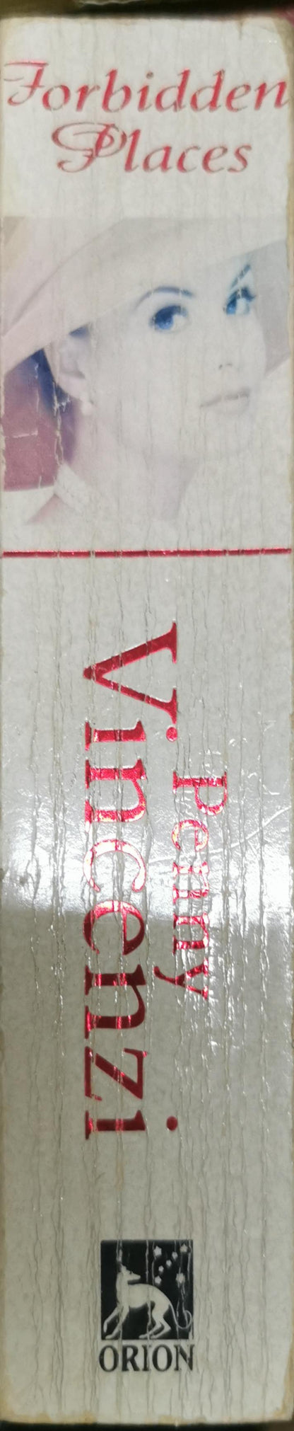 Forbidden Places By Penny Vincenzi