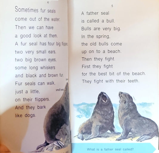 Fur Seals