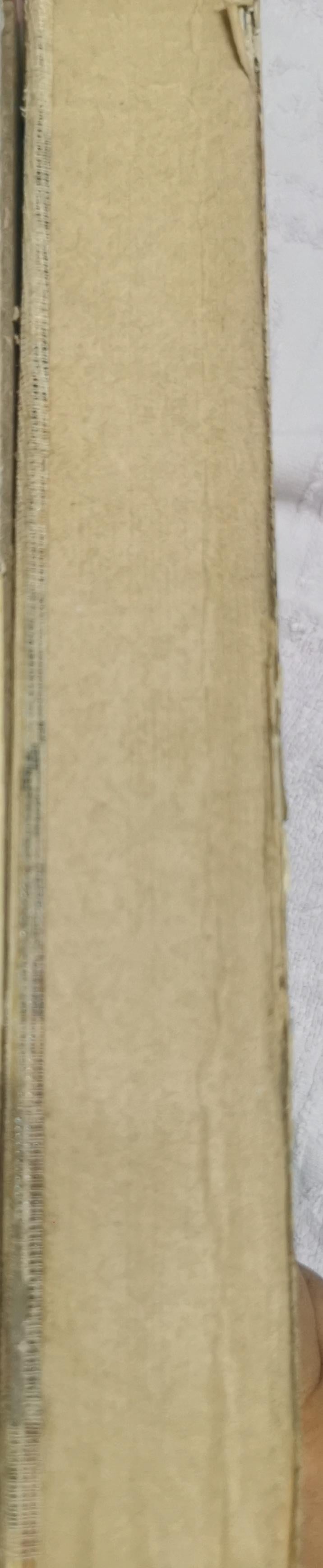 Géant l'encyclopédie des curieux: L'encyclopédie des curieux By Collectif