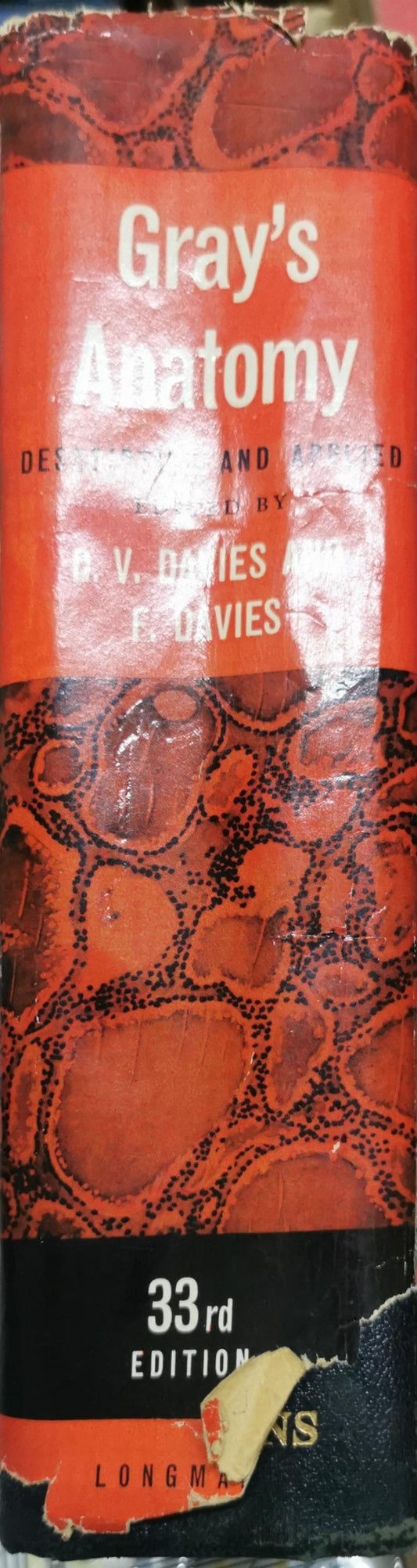 Gray's Anatomy: Descriptive and Applied By Henry Gray and D. V. Davies and F. Davies