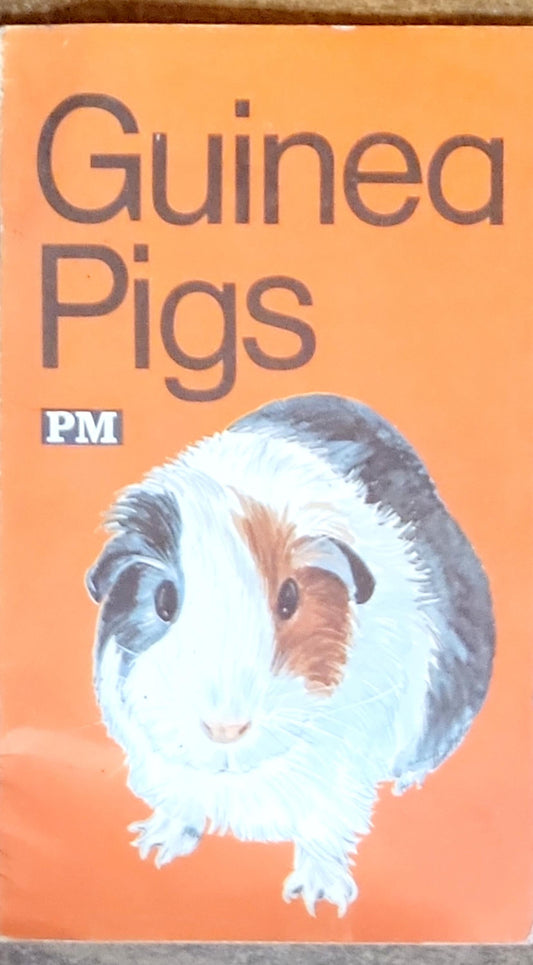 Guinea Pigs
