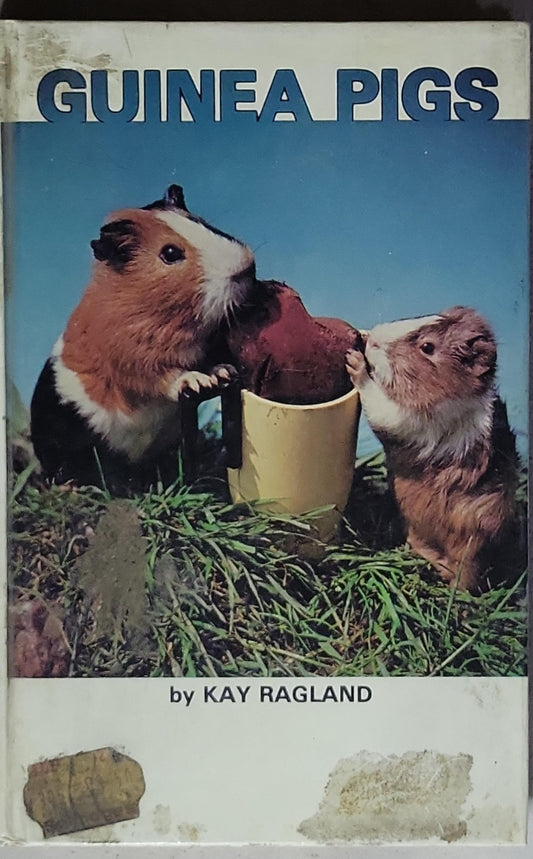Guinea Pigs