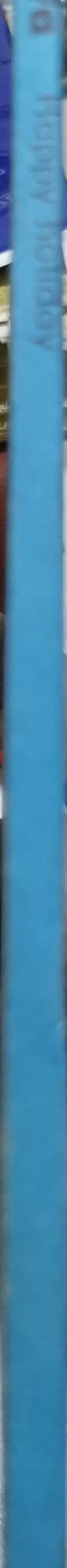 Happy holiday: The Ladybird Key Words Reading Scheme