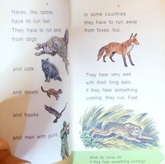 Hares