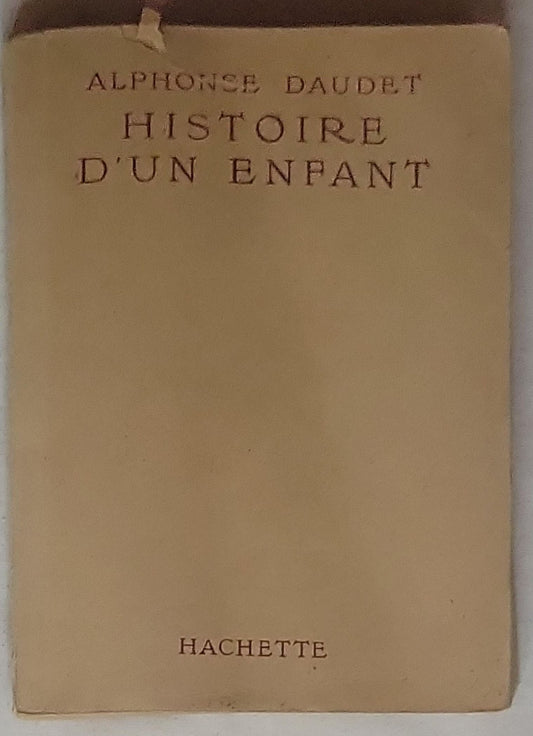Histoire d'un enfant: Le Petit Chose (6e édition, Éd. 1873)