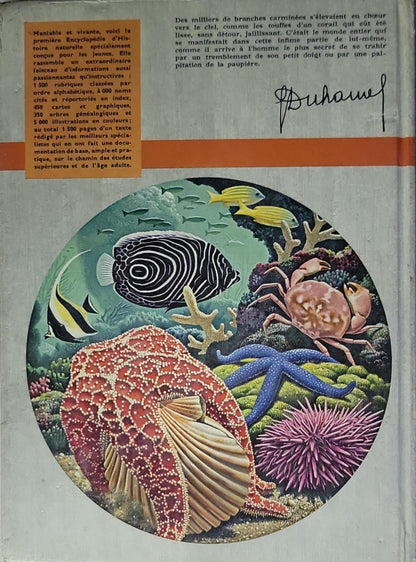 Histoire naturelle pour garçons et filles