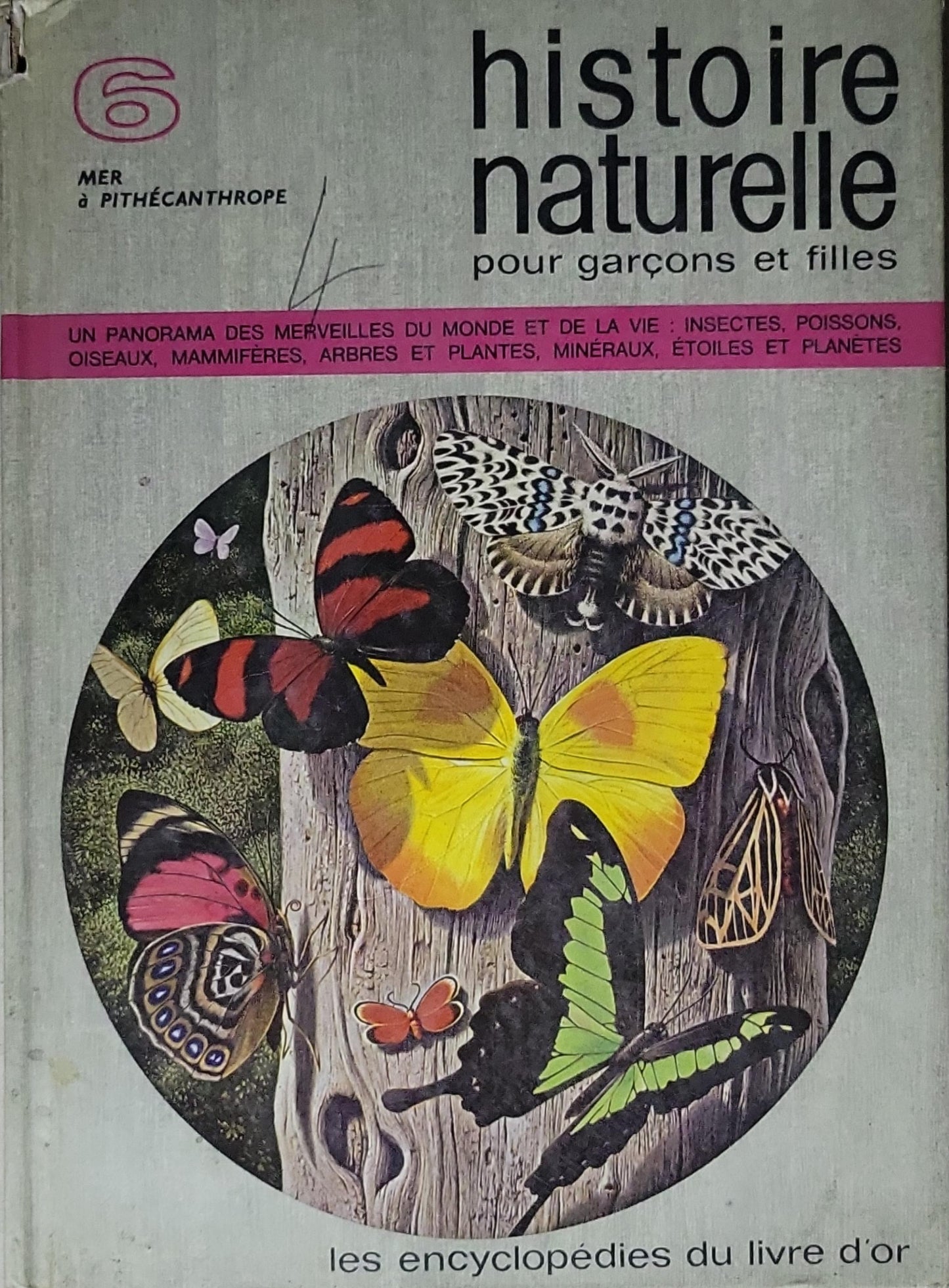 Histoire naturelle pour garçons et filles: Les Encyclopédies du livre d'or (8 tomes)