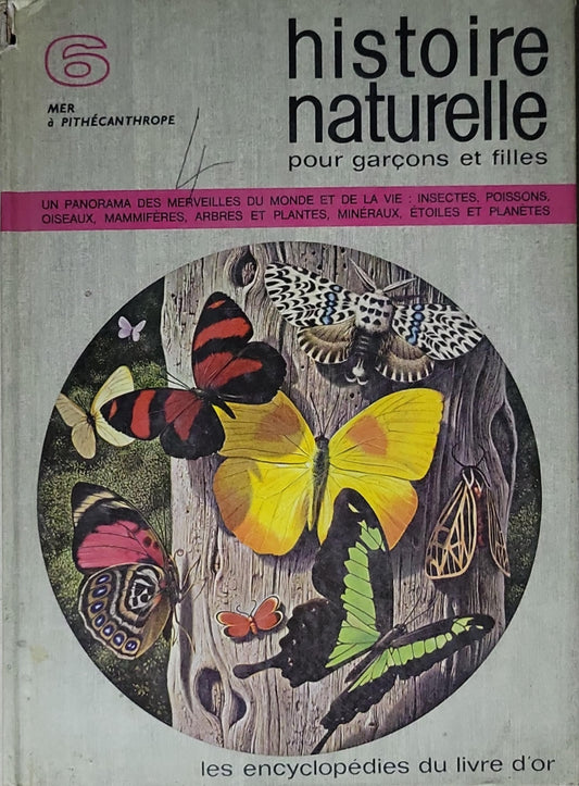 Histoire naturelle pour garçons et filles: Les Encyclopédies du livre d'or (8 tomes)