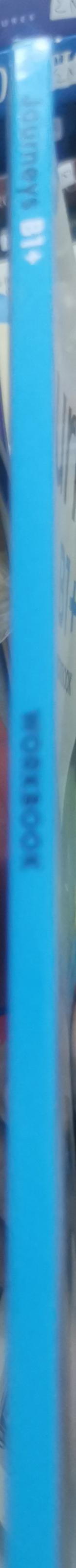 Journeys B1+ Workbook: New Edition By Teresa Bestwick