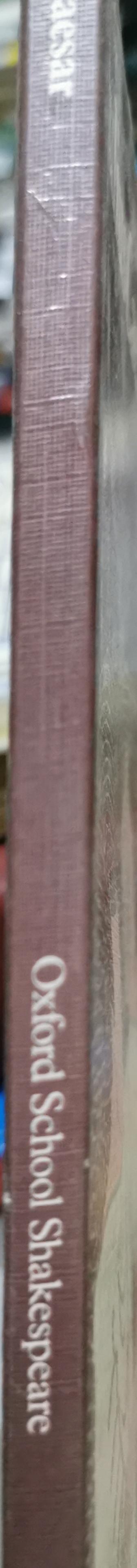 Julius Caesar By William Shakespeare