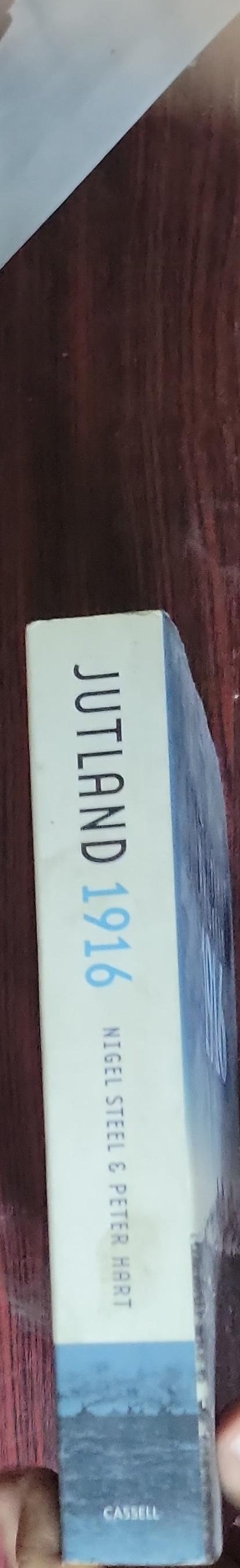 Jutland 1916: Death in the Grey Wastes