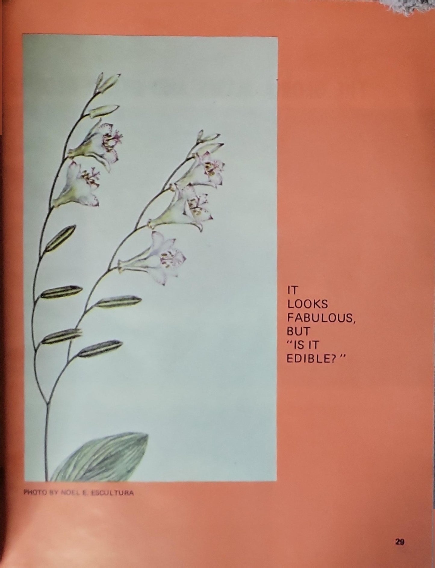 Kalinangan: January–March 1975