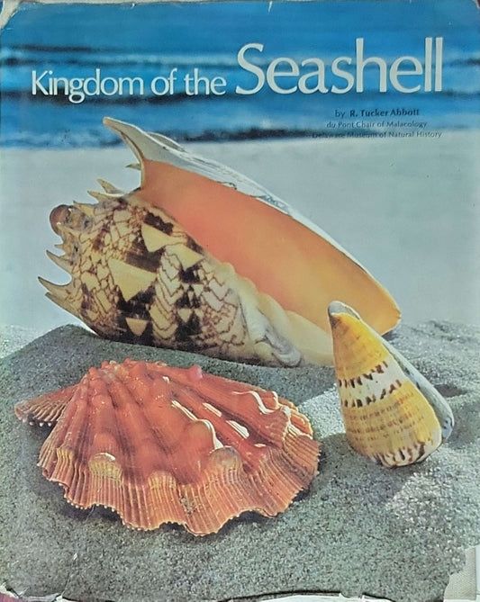 Kingdom of the Seashell