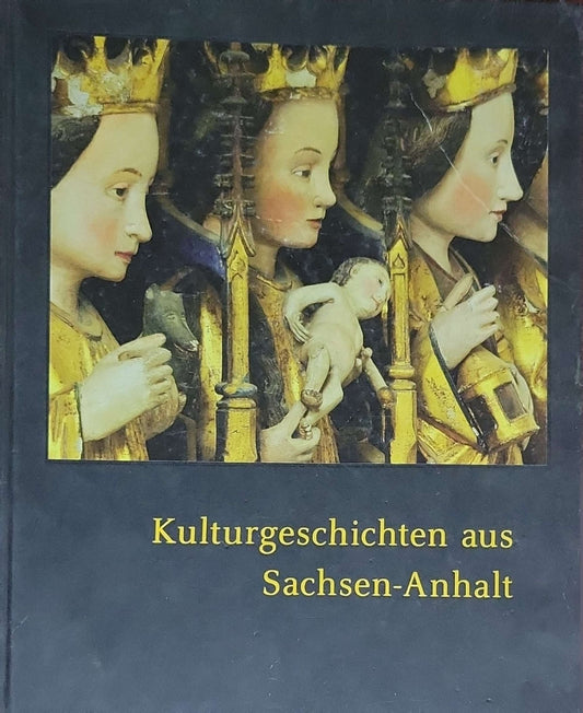 Kulturgeschichten aus Sachsen-Anhalt: Halle (Saale) 2011; Herausgegeben von Harald Meller & Alfred Reichenberger; Fotos von Juraj Lipták