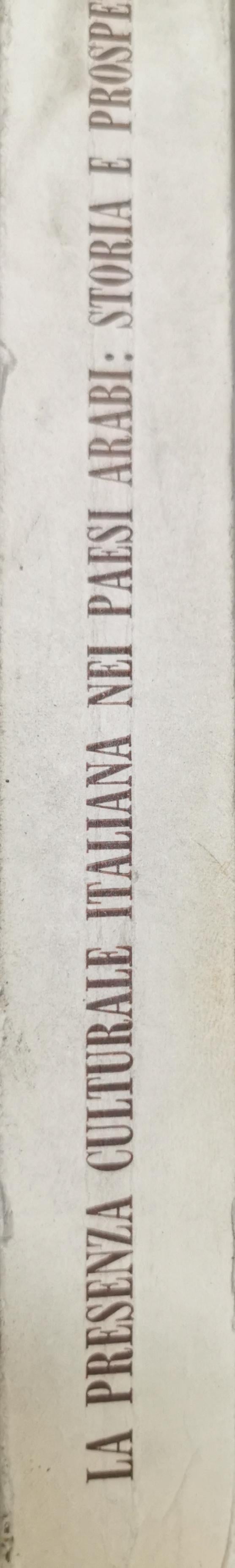 LA PRESENZA CULTURALE ITALIANA NEI PAESI ARABI: STORIA E PROSPETTIVE