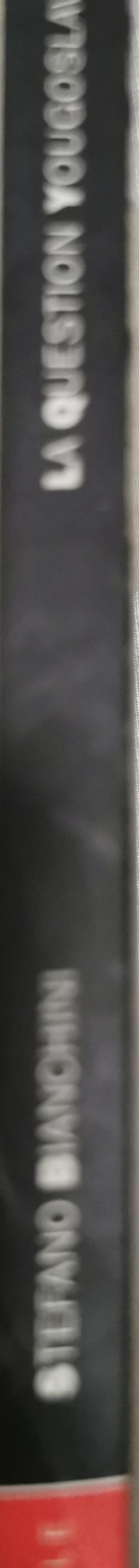 La Question Yougoslave: XXe siècle By Stefano Bianchini