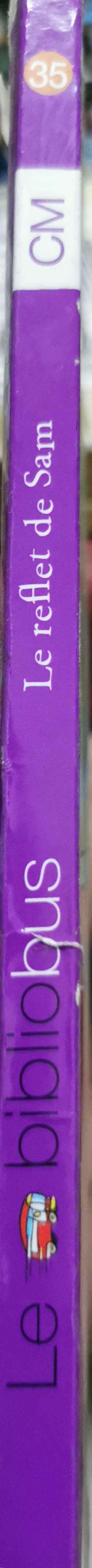 Le reflet de Sam et autres pièces: Théâtre - Le bibliobus CM Litterature cycle 3 By Gilles Abier and René Pillot and Corinne Albaut and Aurélien Lorgnier