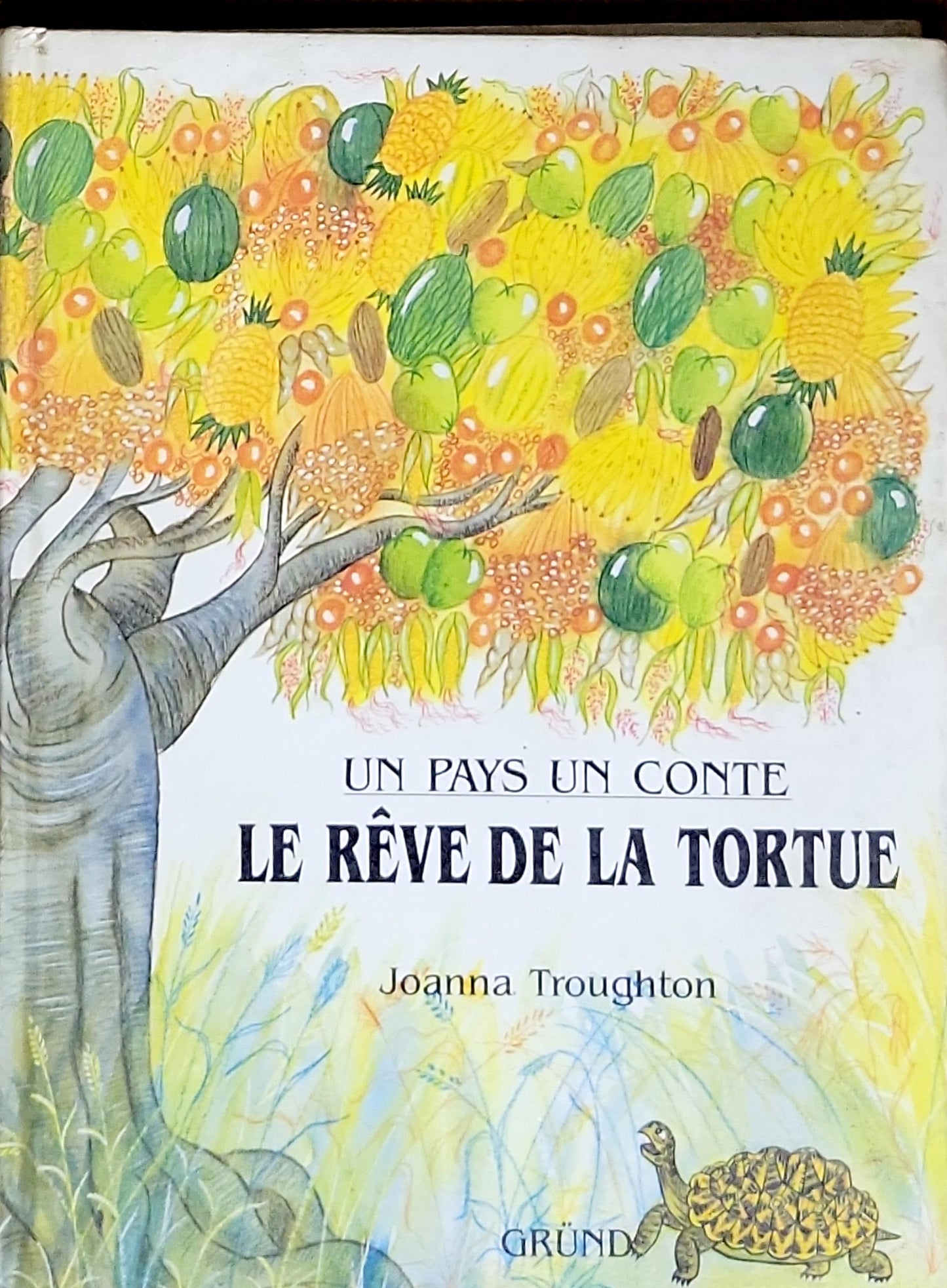 LE RÊVE DE LA TORTUE: UN PAYS UN CONTE