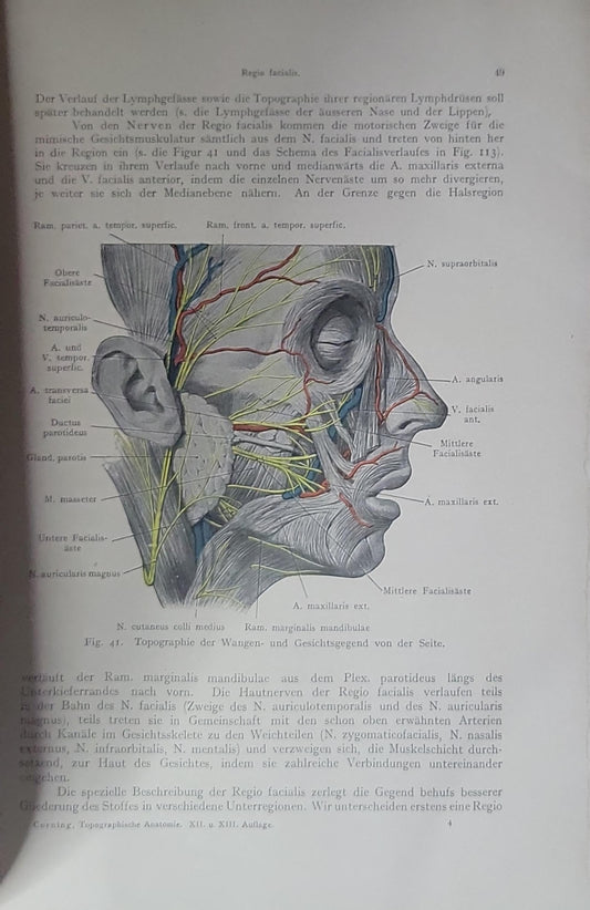 Lehrbuch der Topographischen Anatomie