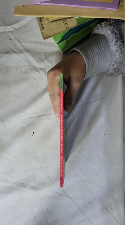 Leones a la hora del almuerzo By Mary Pope Osborne