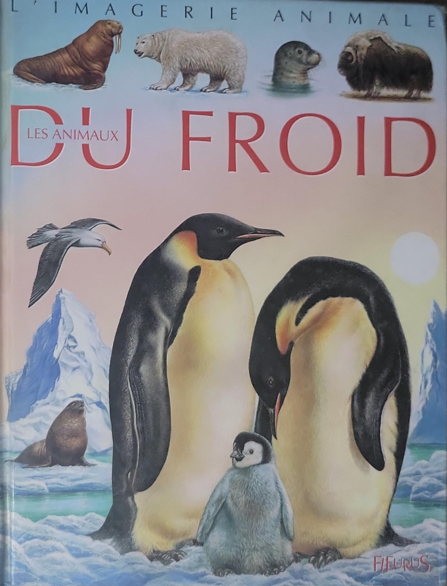 Les Animaux du Froid