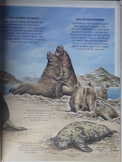 Les Animaux du Froid