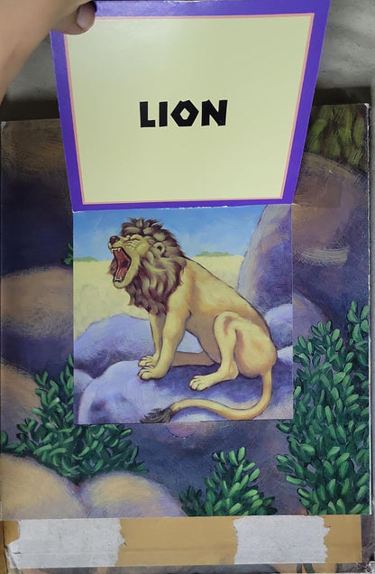 Les Bruits de la Jungle