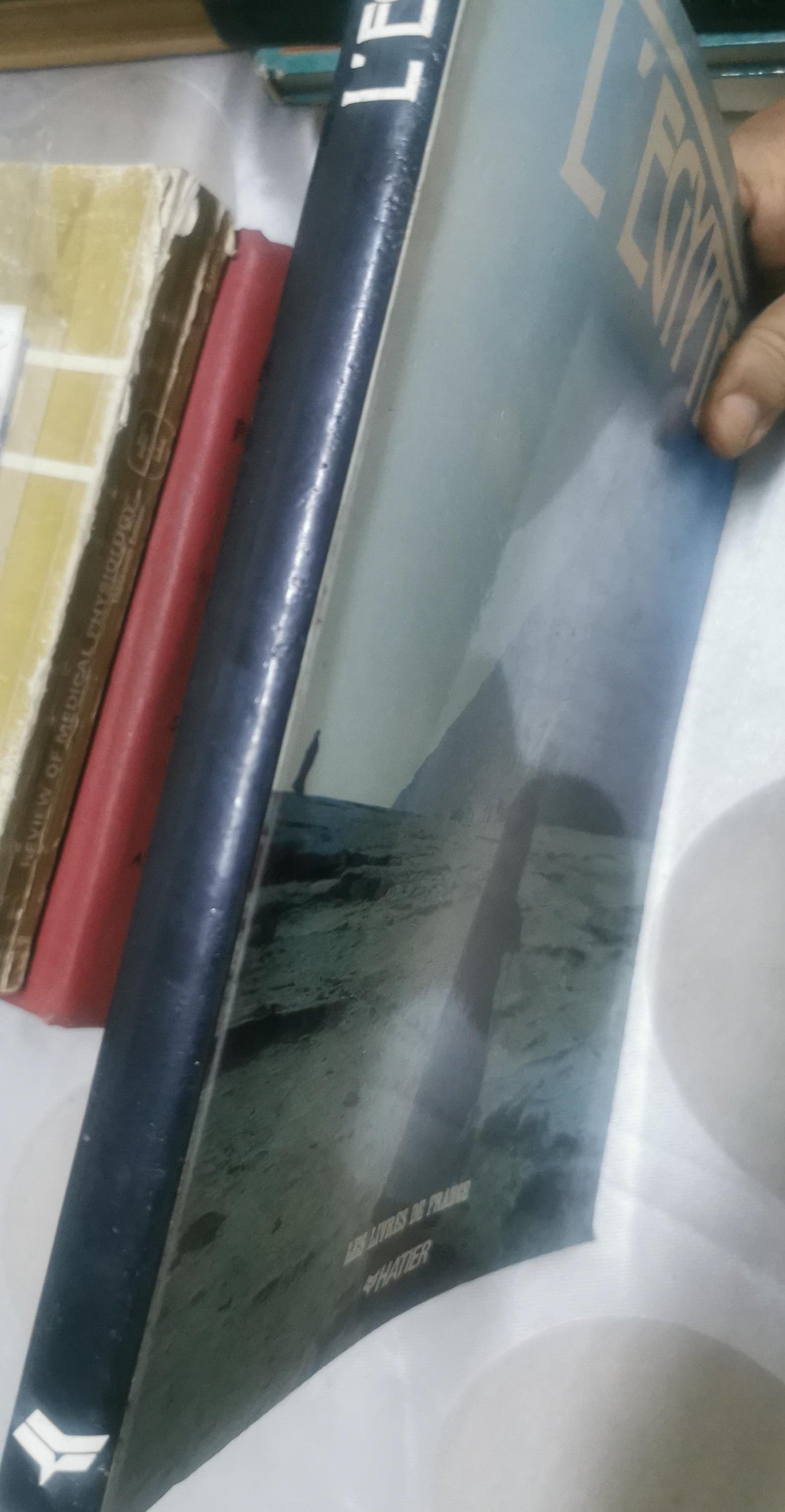 L'Égypte By Cérès Wissa Wassef