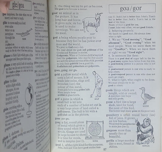 Longman Junior English Dictionary
