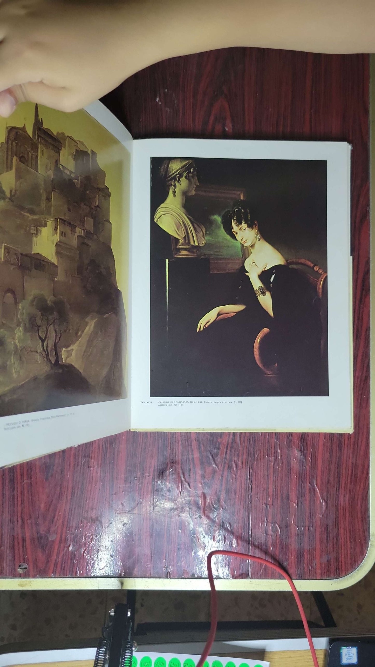 L'opera completa di Hayez: Francesco Hayez, Carlo Castellaneta (presentazione), Sergio Coradeschi (apparati critici e filologici)