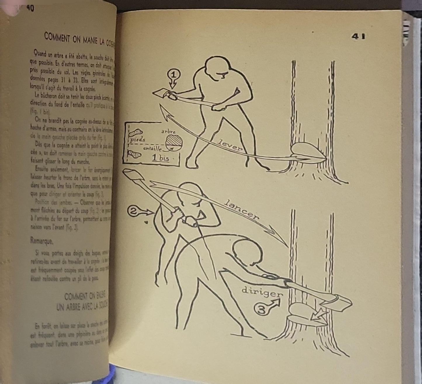 MAINS HABILES: Travaux Manuels de Plein Air
