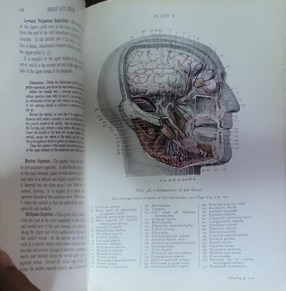 Cunningham's Manual of Practical Anatomy : Volume 3 only