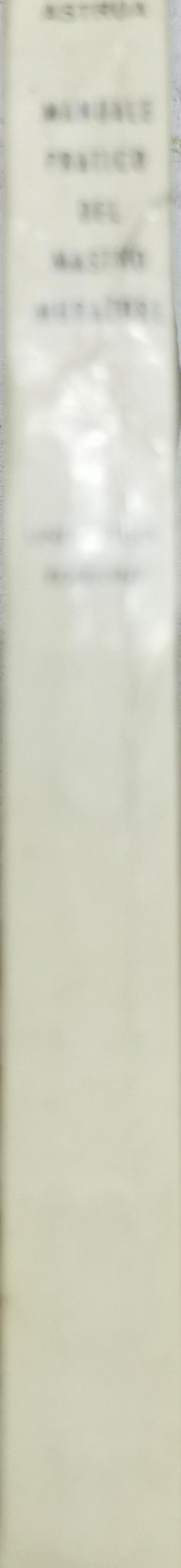 Manuale Pratico del Mastro Muratore: Undicesima edizione aggiornata By G. Astrua