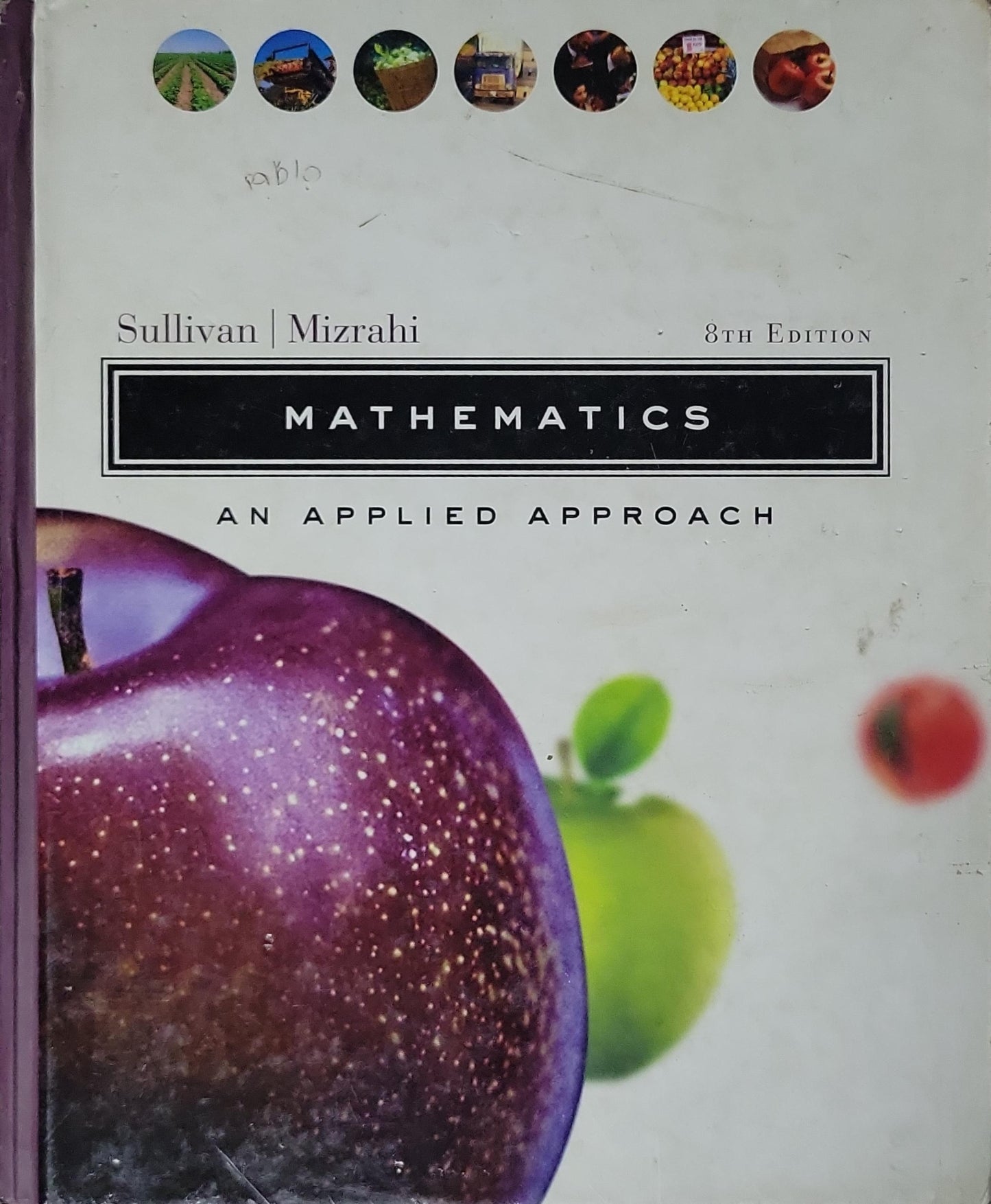 Mathematics: An Applied Approach (8th Edition) By Sullivan and Mizrahi