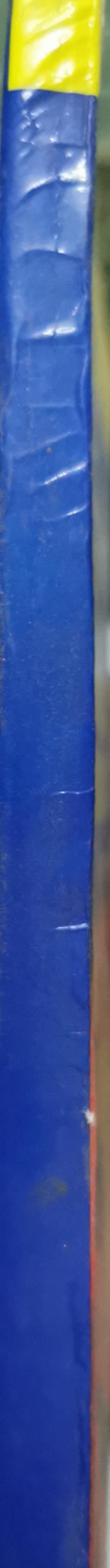 MCQs in Applied Basic Science for Basic Surgical Training By Andrew T. Raftery