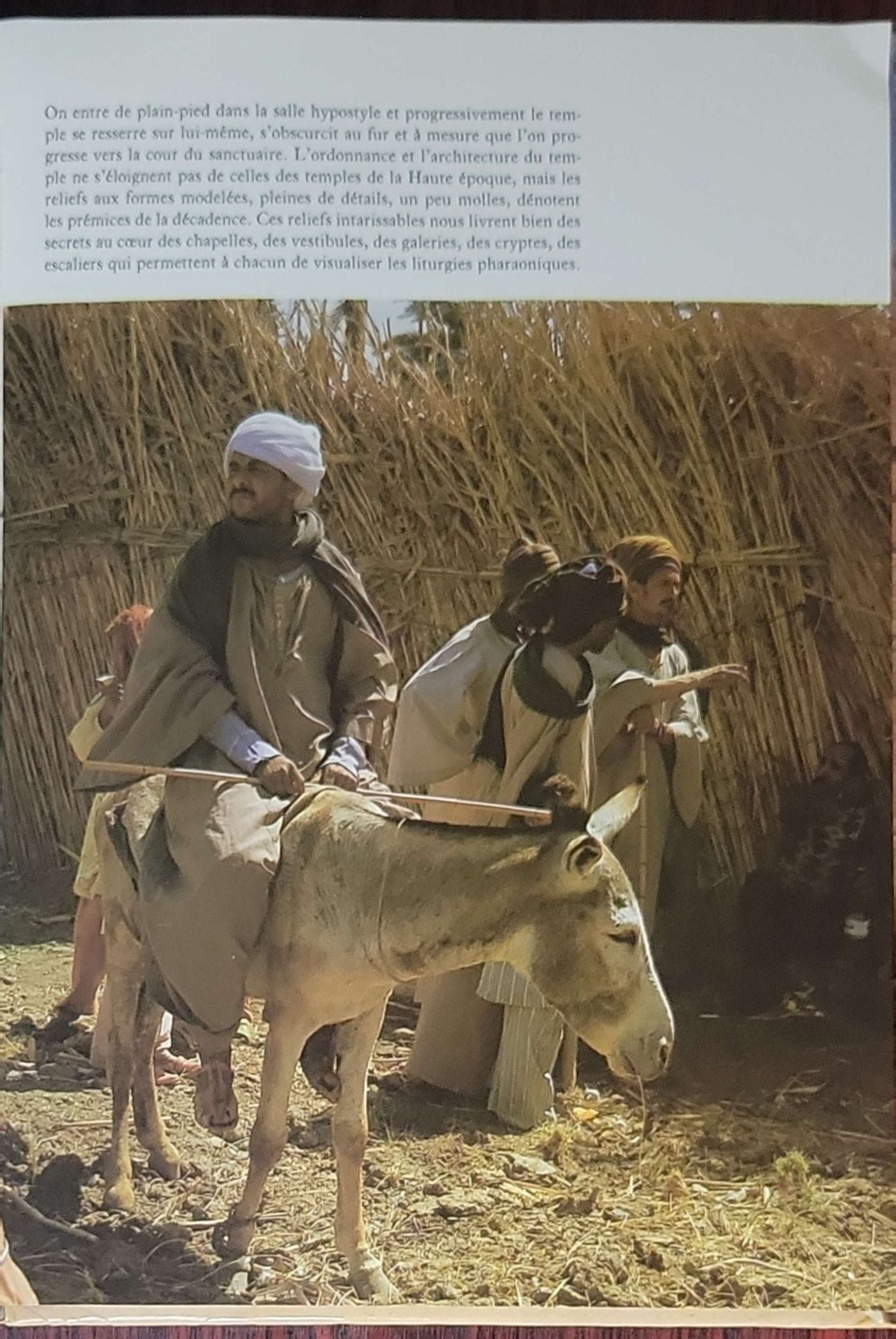 Merveilleuse Egypte