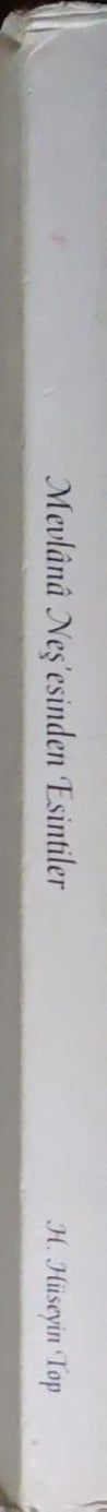 Mevlana Neş’esinden Esintiler / Şiirler 1