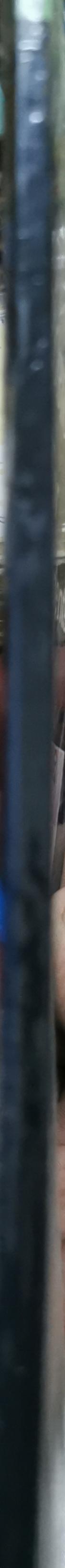 MICROBIOLOGY For Dental Students: Volume II Oral Microbiology & Immunology